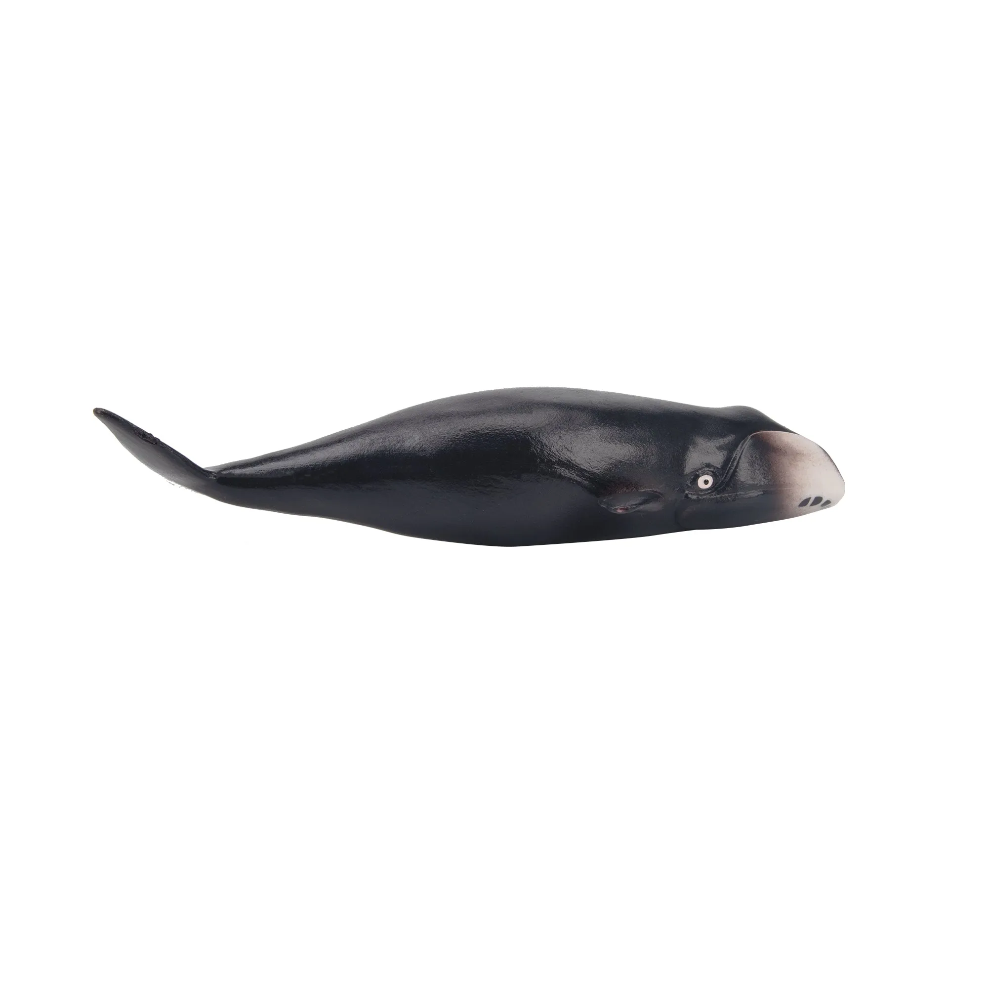 Toymany Bowhead Whale Figurine Toy - Small Size