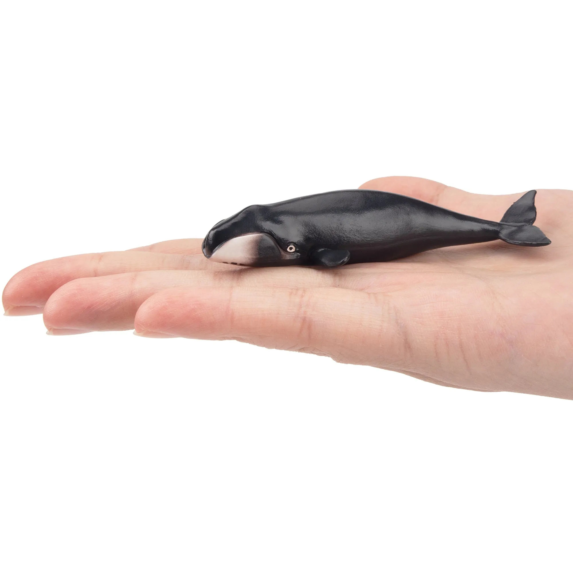 Toymany Bowhead Whale Figurine Toy - Small Size