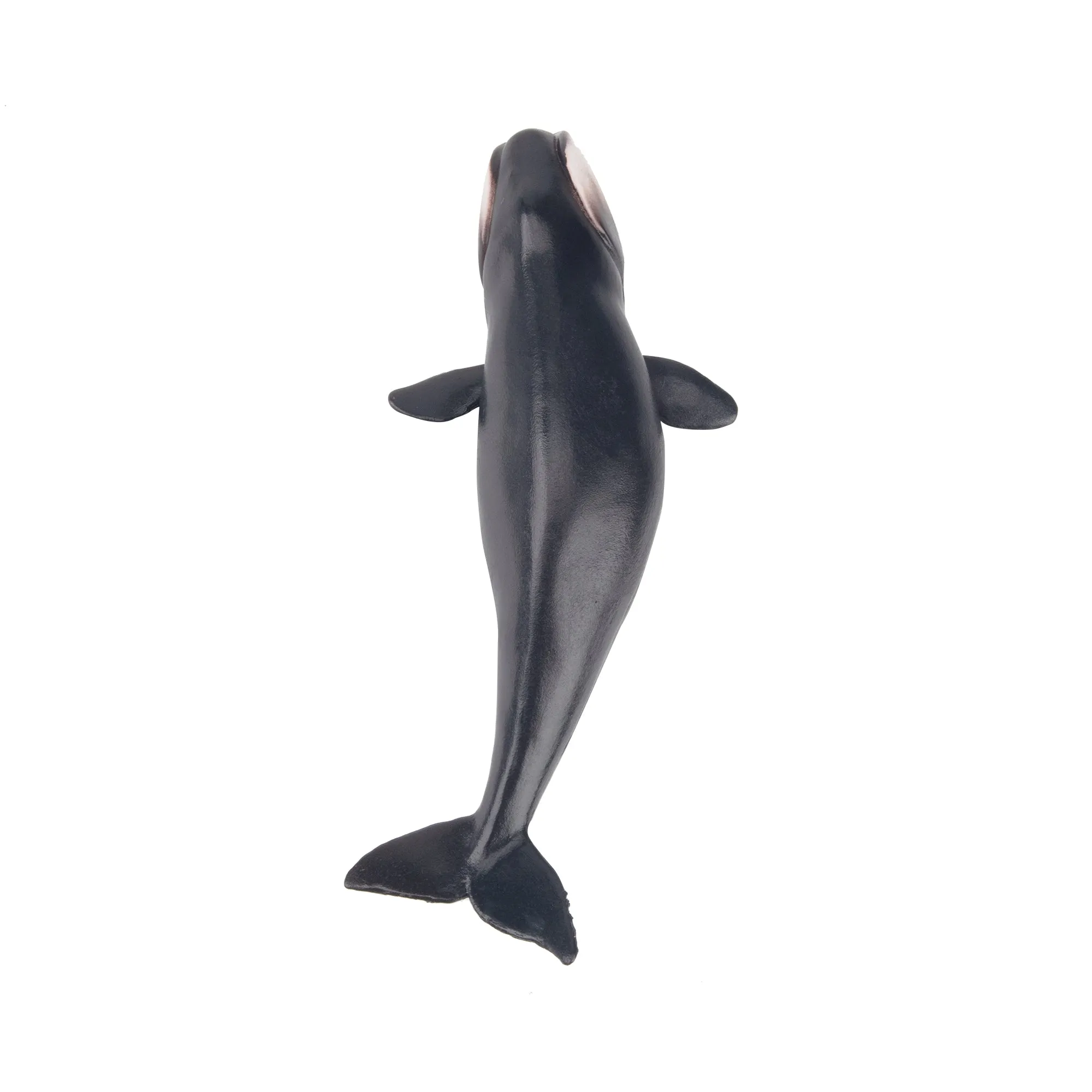 Toymany Bowhead Whale Figurine Toy - Small Size