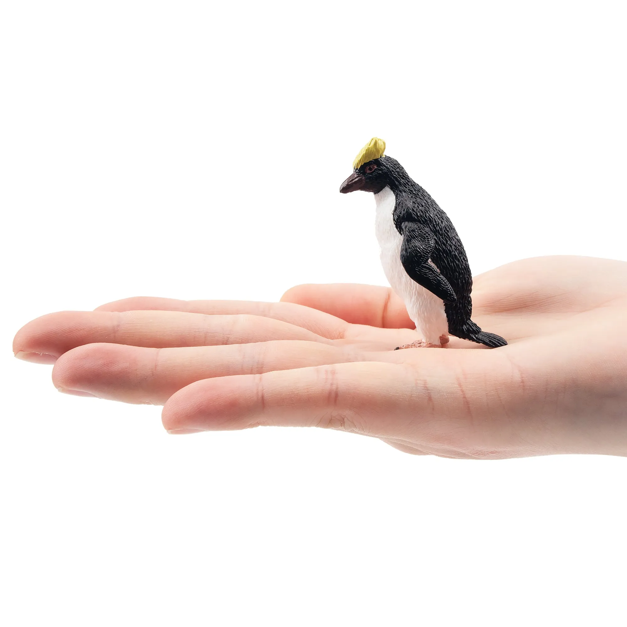 Toymany Rockhopper Penguin Figurine Toy