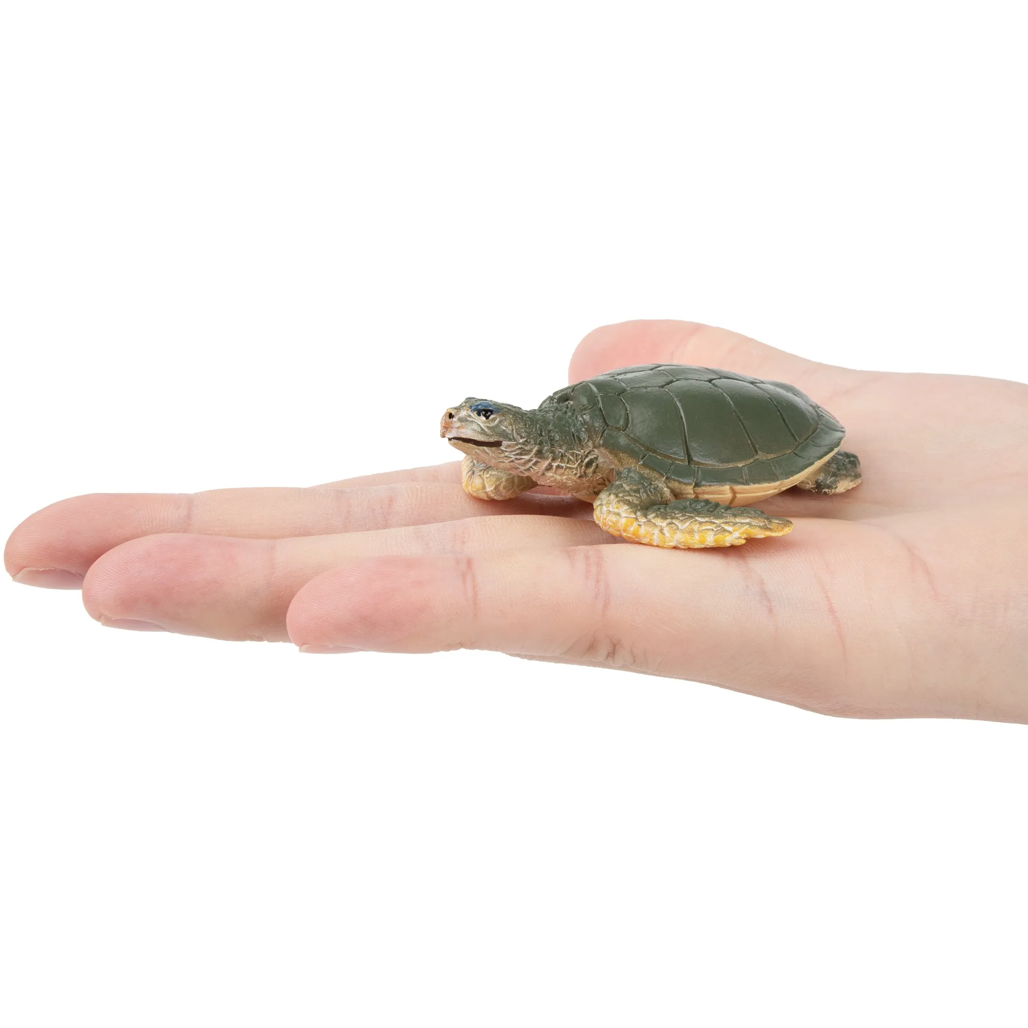 Toymany Walking Kemp's Ridley Sea Turtle Figurine Toy